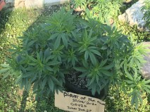 EE325B65-5153-44BF-A086-C9DCAD4BA883