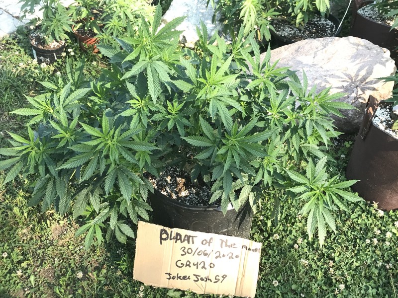 1AFEA3E0-5CDF-4D37-BBDB-4C23EC20564B