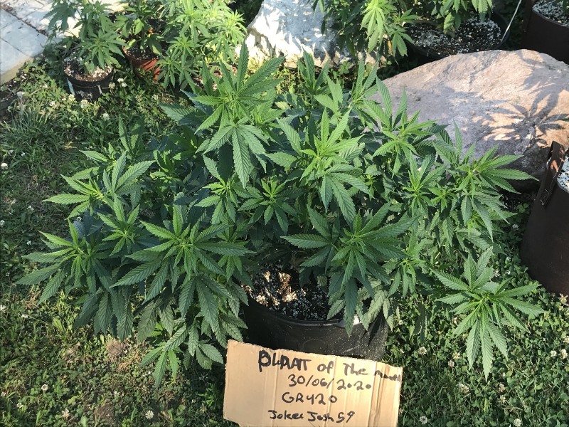 E96B66E5-DE81-4EB9-9092-5814C23870EA