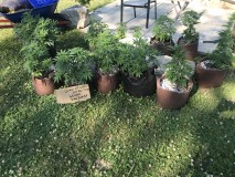 E3868343-1695-463E-AF87-59D3DBD84E58