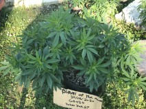 0C4A1E51-F5E6-4F61-ABBB-D3195E637A07