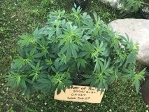 F9A56EFA-AA51-4309-AF06-CA4A36B4271A