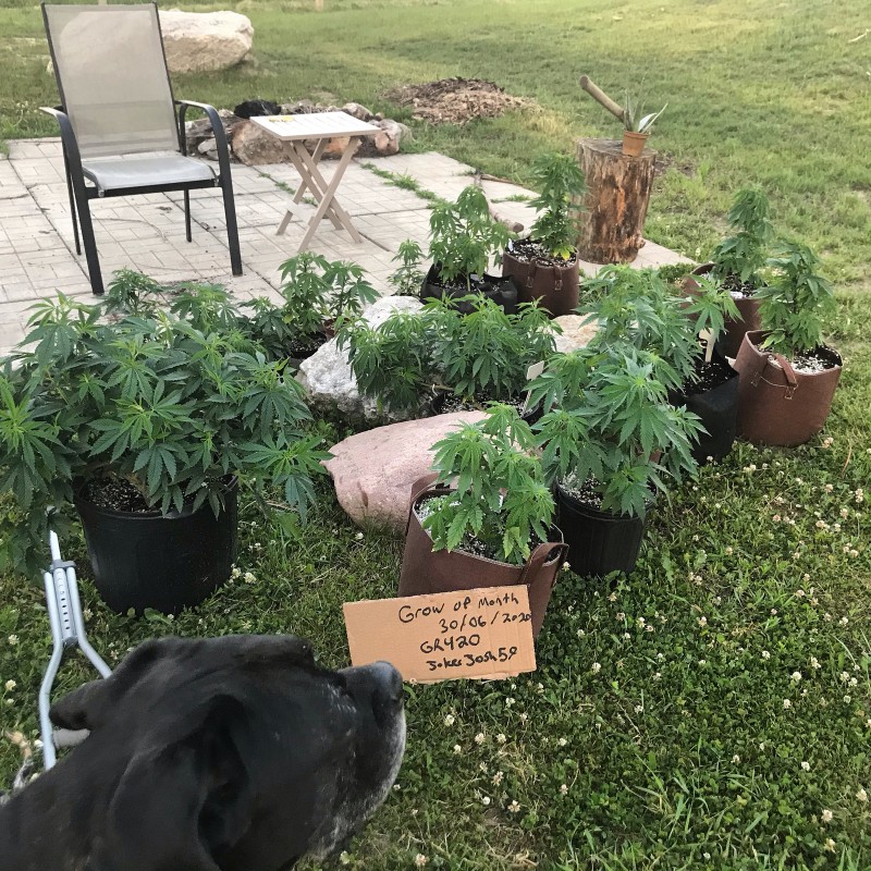 B338B053-9A54-4BDD-BDB4-F70EA3A1B8A0