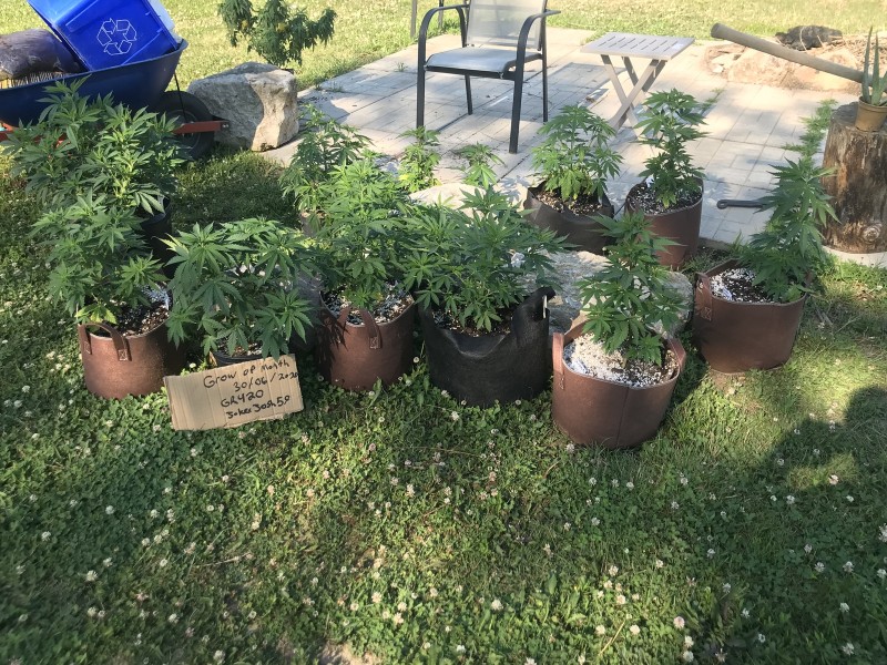 973C235E-A980-4EA5-9804-7B4FA1EA934D