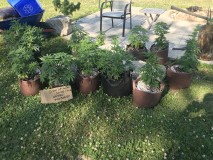 973C235E-A980-4EA5-9804-7B4FA1EA934D