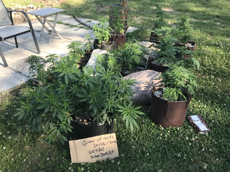 55E06A59-7E89-4D57-9E80-BA49C9B37017