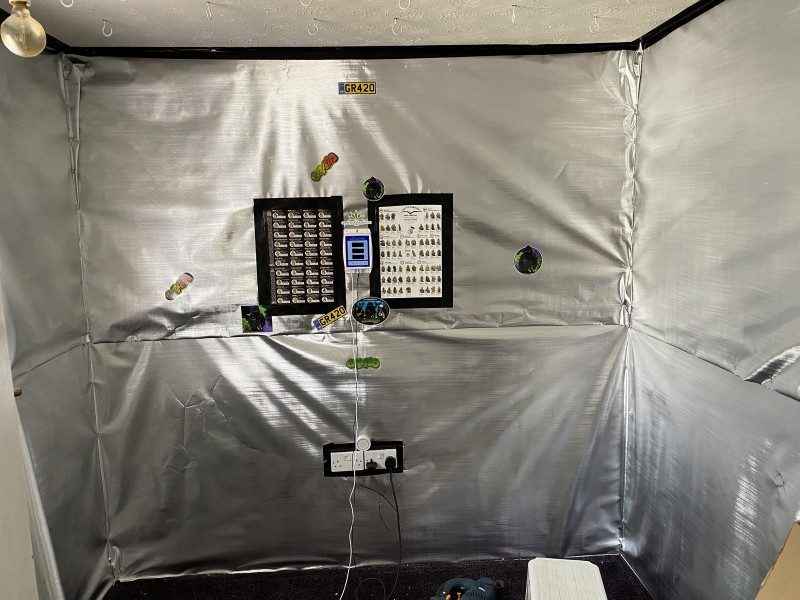 C206C671-4589-4265-B68D-4CD1317F5772