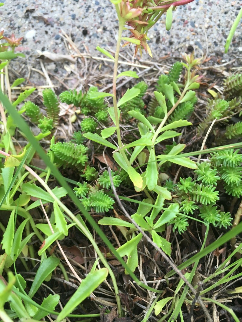 1688C5C4-ECD3-44B7-835B-4542E51FC776