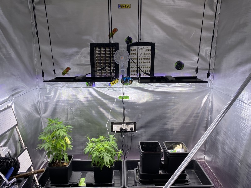 44E4D98B-6468-4902-9E22-396B8F8757B7