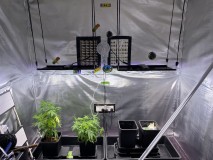 44E4D98B-6468-4902-9E22-396B8F8757B7