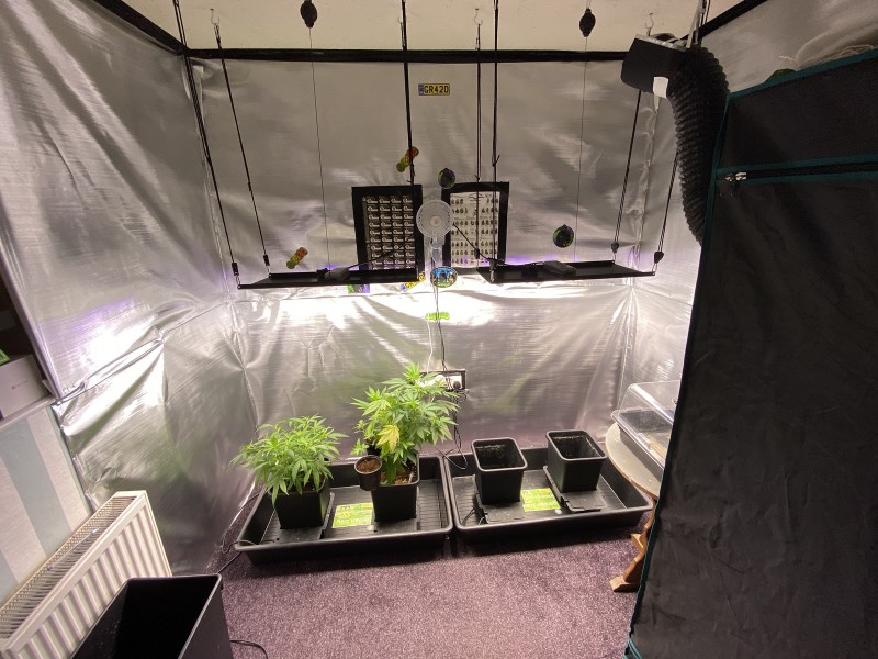 F2DB0094-B758-4EAD-95CE-B435BD770064