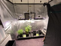 F2DB0094-B758-4EAD-95CE-B435BD770064