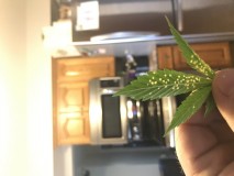 B61BDFE4-FBCD-41F0-ACE3-4B383526A0BD