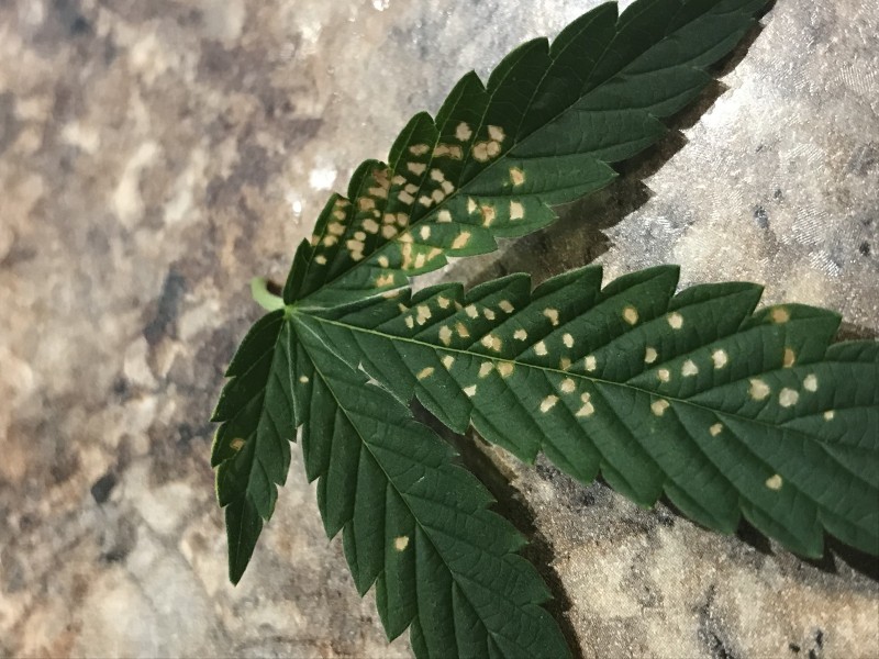 5A8DE845-0B65-4A87-883D-A9C063040626