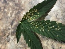 5A8DE845-0B65-4A87-883D-A9C063040626