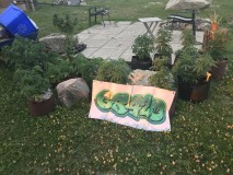 198DBA13-8706-444C-9486-1CE92257E5F0