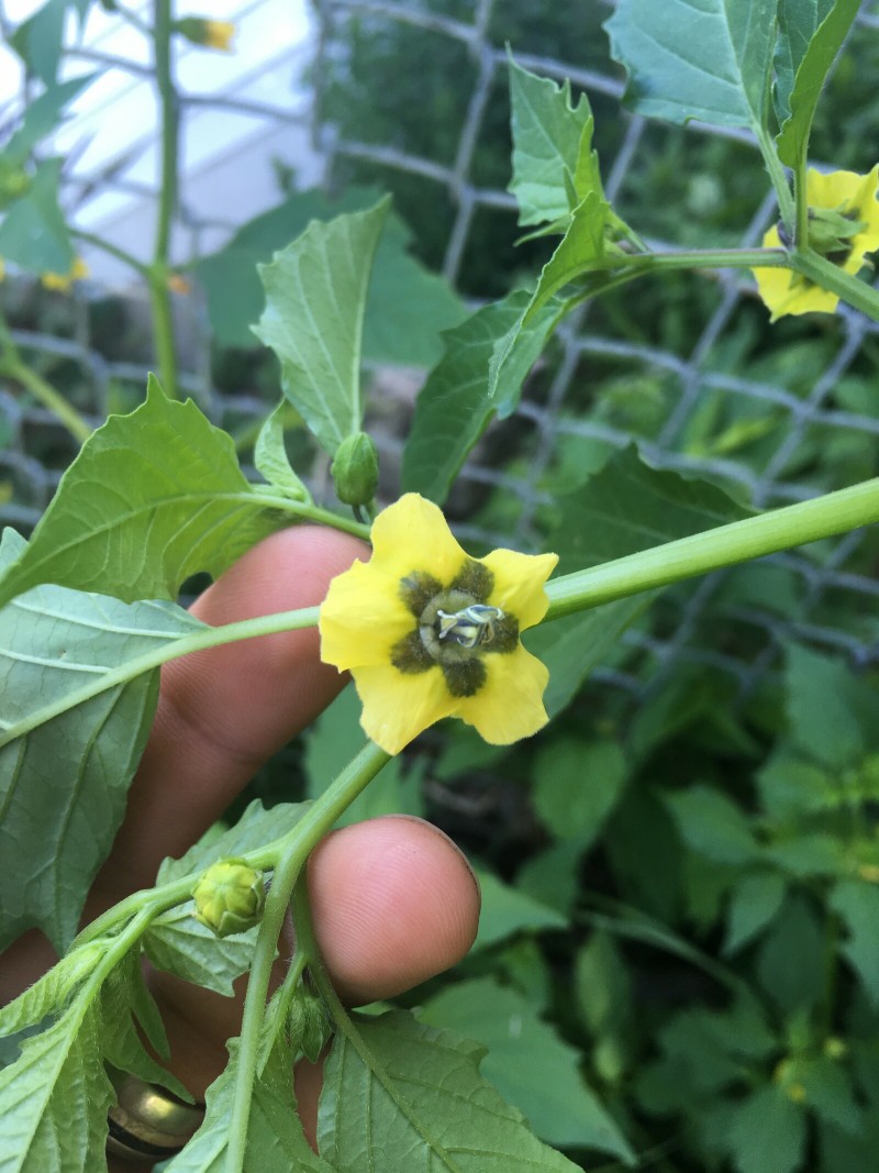 7D058DEF-FF8D-43A5-866A-F47F6307E83B