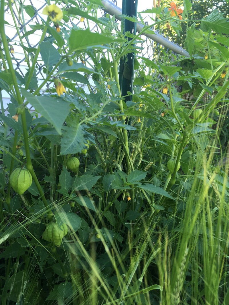 7089B689-06DF-4616-B9A8-B66883A9969B