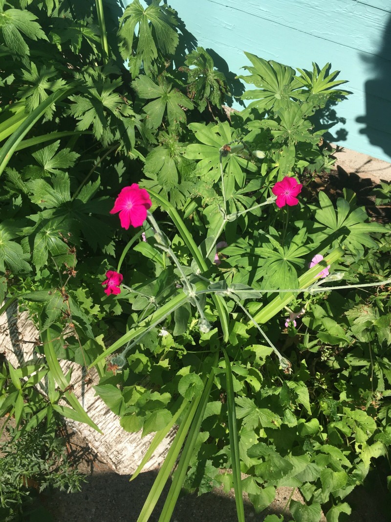 A6D98FC8-AB53-4A87-BD11-6ADACA713FA6