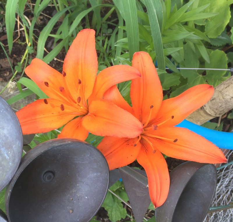 75150FAE-7B45-4156-ADB6-30FC4BC991E6