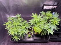 F4F08A23-8C11-44D1-B154-845FE380B149