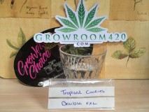 40D76415-AF76-4E0D-BED7-A97A06406736