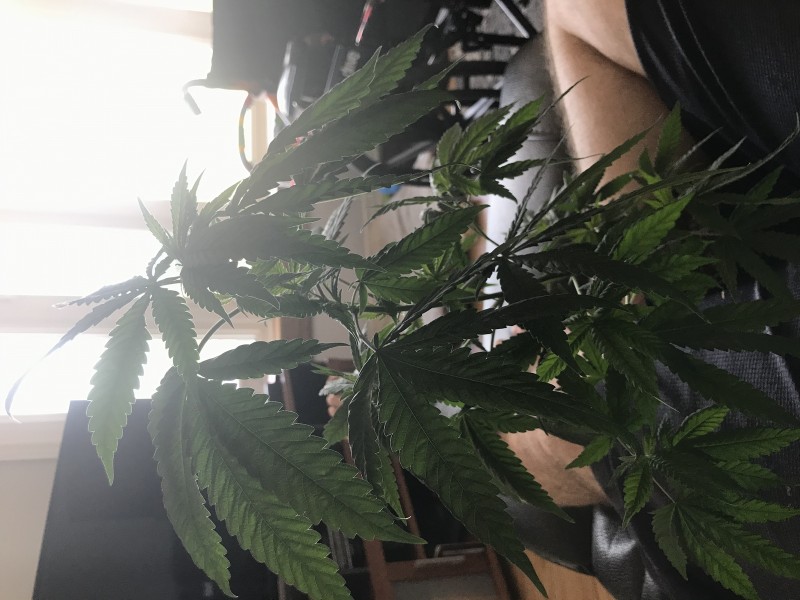 73387181-C21A-4588-BD97-B5A353CA348D