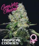 TropicalCookies