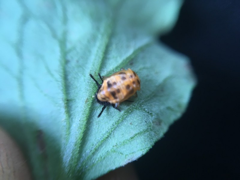 9C5BB8B6-AA34-43C2-B094-B09A09E7FE8F