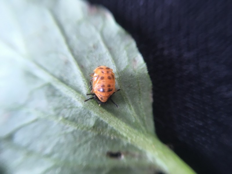 B369E6C6-DEA2-4379-A088-F525F2C89DEC