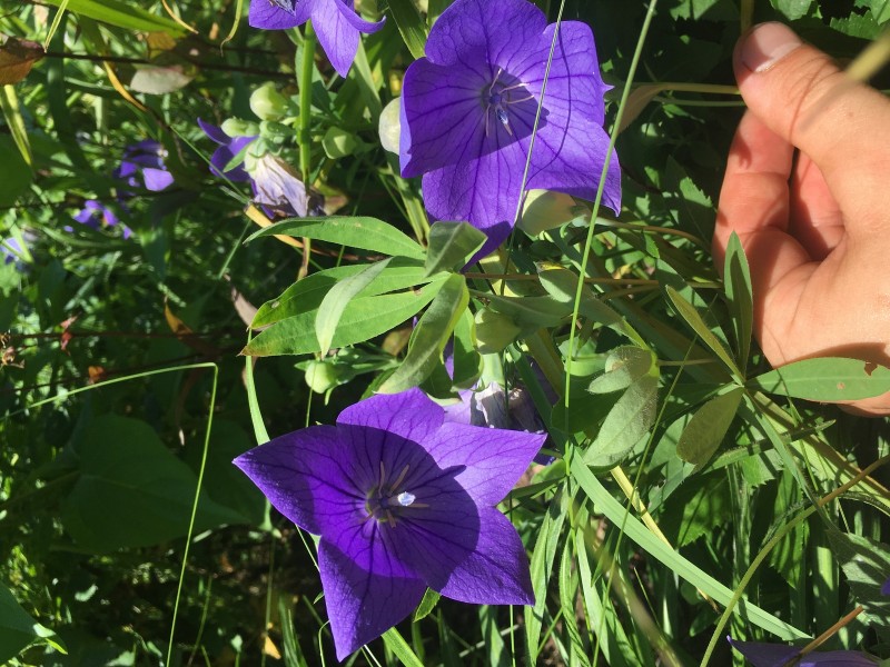 6B74737D-BA33-4CA8-B11F-F62DF5710A5C