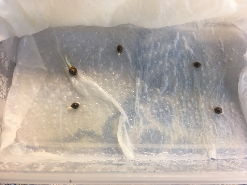 B3A01FF5-9C80-4673-9681-33A078BA391A