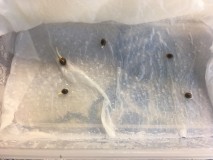 B3A01FF5-9C80-4673-9681-33A078BA391A