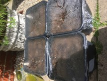 895F08E6-F592-494F-B5C0-D5B2A6D5AB0B