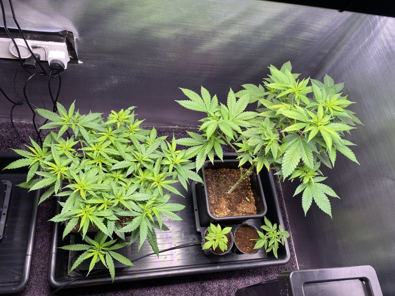 DADAC638-B249-407F-9FA5-3C0A5CDD7388