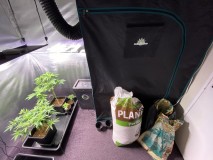 B3BF7ED8-7894-4C7A-BBD8-23961CAC75C5