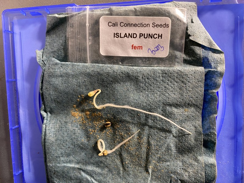 E6320952-AD6D-4783-91F4-58A46169669C