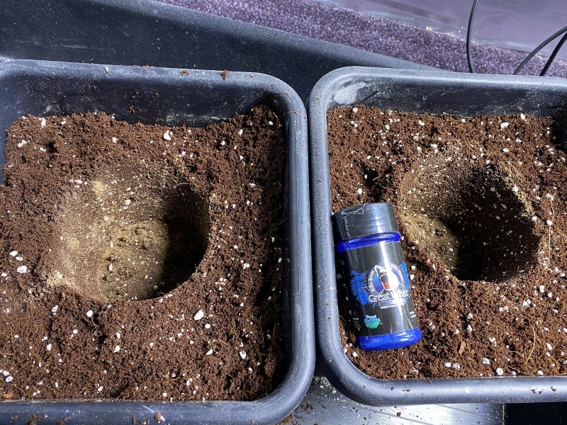 26A7D1B2-0CF4-45FA-8AEA-A13BDFF32972