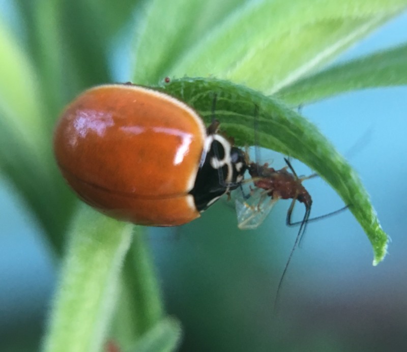 FE5F59C5-ACB5-4ED9-BC38-0A7FB9A827A3