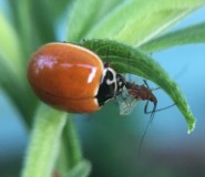 FE5F59C5-ACB5-4ED9-BC38-0A7FB9A827A3