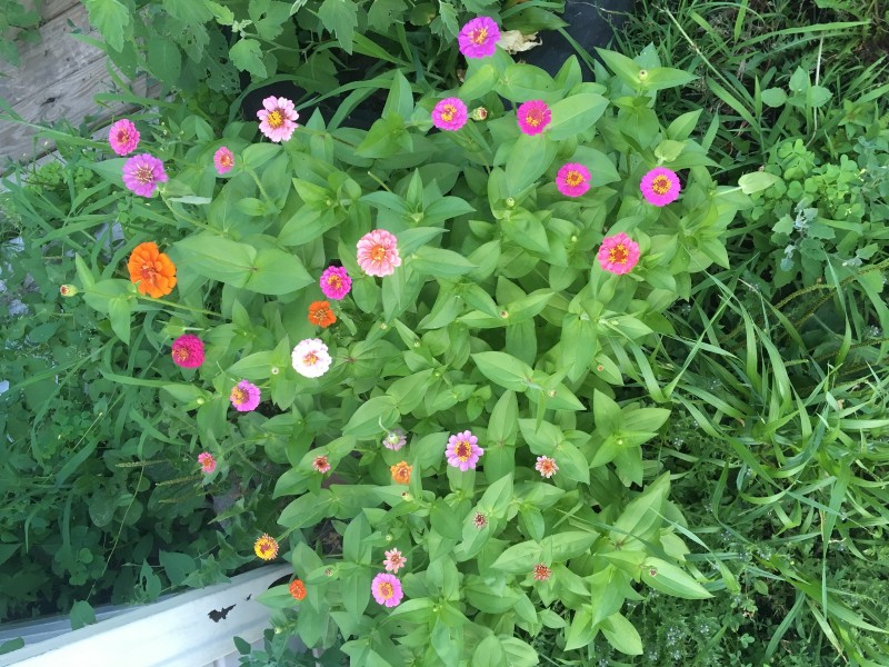 294C2278-D02F-4A9A-BBAB-DC639DF7708D