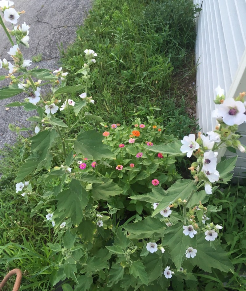 9B2DB9AC-0EBF-404C-B2D8-817133353636