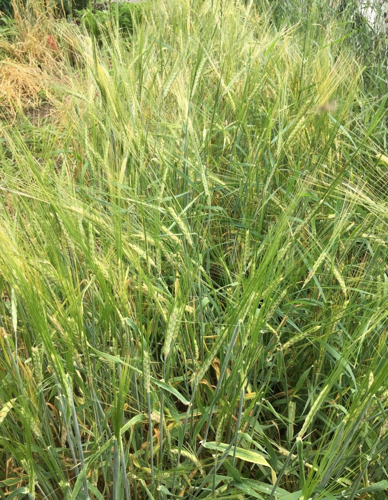 2D964D5E-2753-44C1-AB24-F9BD0F83BE60