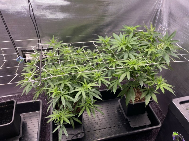 B8112CD8-4907-446E-BEF5-6AD9A431DB21