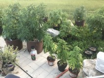 F46EF810-EB80-47F8-BEA7-885BE90C914A