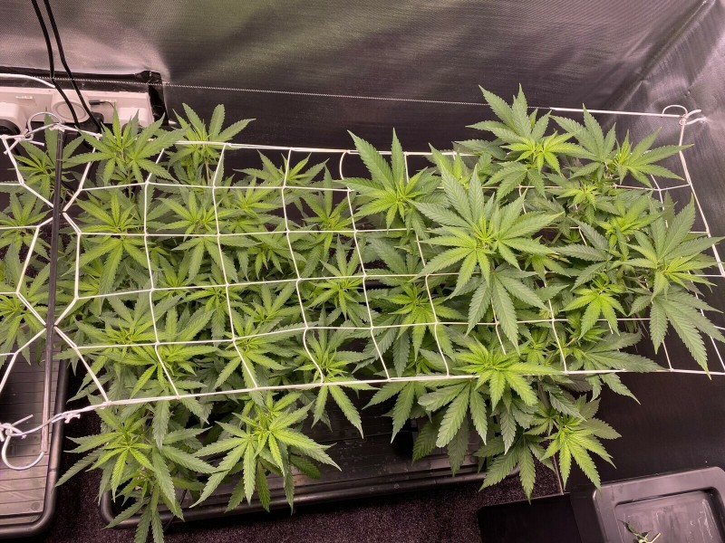 559FABFF-F518-4EFF-A5A5-B0EC008C1049