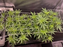 559FABFF-F518-4EFF-A5A5-B0EC008C1049