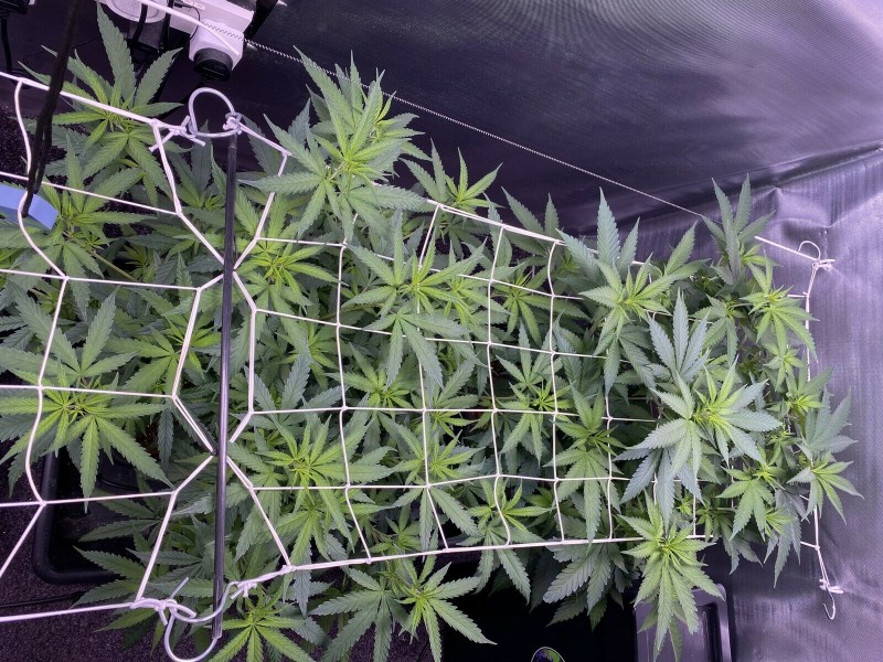 ABABAAE2-37AB-437A-8141-1632898B00C7