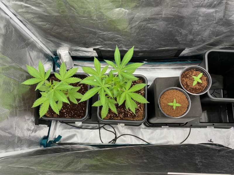 671957E3-9C4D-45BF-9E2C-6868622D77F4