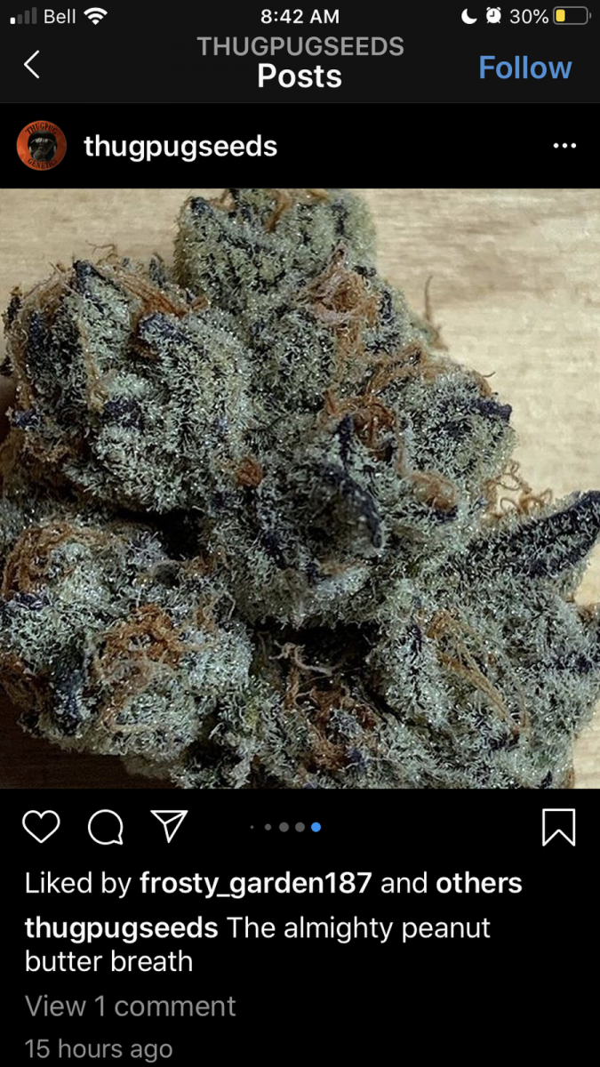 CED9E2EE-13B8-4945-B9B2-F21F973501E0